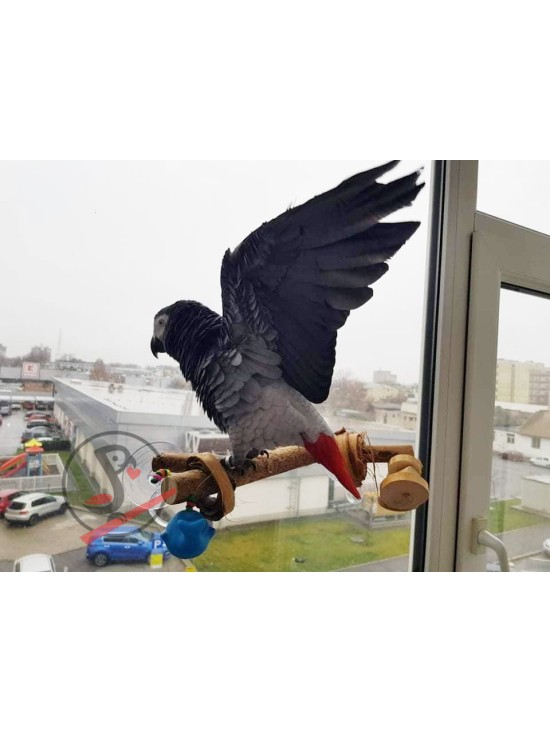 Creangă de geam accesorizată, variantă mare, grosime stinghie 3-3,5cm