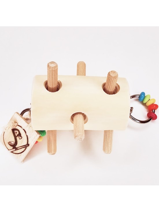 Arici-de-rontăit-din-plop