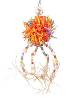 Caracatiță ciufulibilă curcubeu