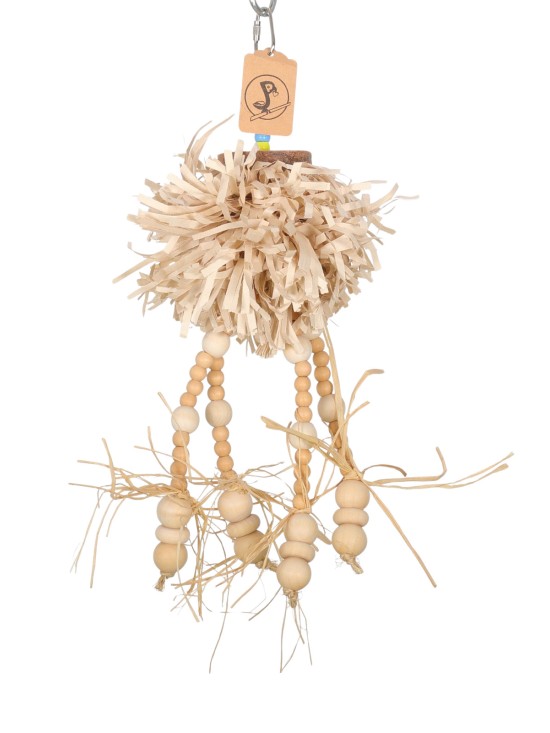 Caracatita-ciufulibila-natur