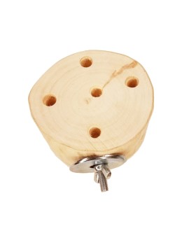 Cilindru (platformă) de căutare (foraging)