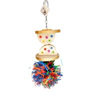 Clepsidră cu ciufulici