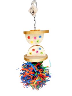 Clepsidră cu ciufulici