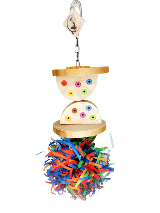 Clepsidră cu ciufulici