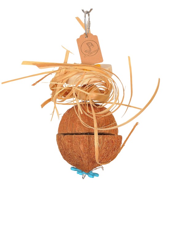 Caută sub capac - jucărie de căutare cu nucă de cocos - 20cm