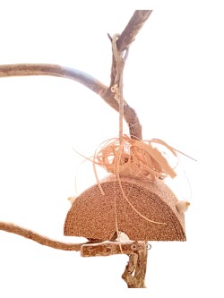 Pluta lu' Ronțăilă - "depozitul" de ronțăială din plută naturală