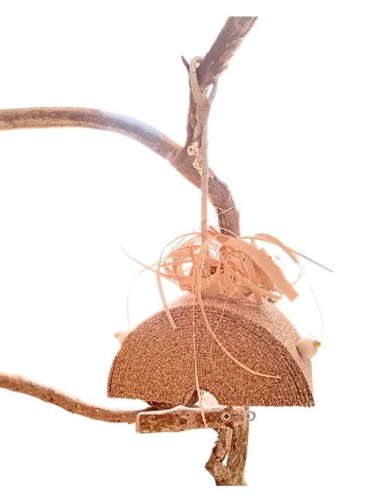 Pluta lu' Ronțăilă - "depozitul" de ronțăială din plută naturală