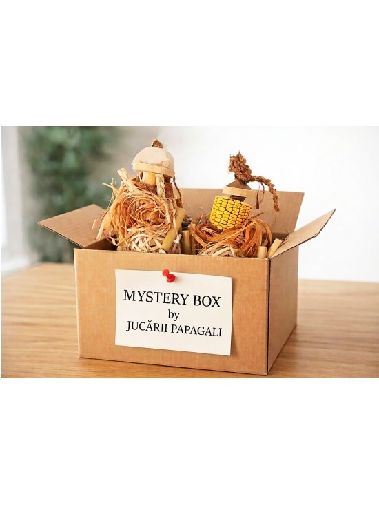 Mystery Box – set 4 jucării naturale pentru papagali. UNICATE