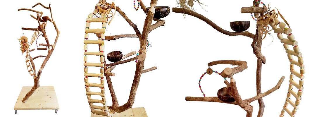 Copăcei cu scoarță - standuri pentru papagali făcute cu gândul la ei